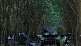 Ketegangan bersenjata yang kembali pecah di wilayah perbatasan Thailand dan Kamboja telah berlangsung selama 11 hari hingga Rabu 17 Desember 2025. Sejak konflik terbaru dimulai pada 7 Desember, sedikitnya 52 orang dilaporkan meninggal dunia dari kedu