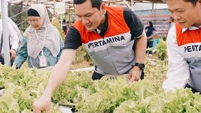 PT Pertamina Trans Kontinental (PTK) terus memperkuat komitmennya dalam menghadirkan dampak sosial dan ekonomi yang berkelanjutan melalui implementasi Desa Energi Berdikari (DEB) Tahap II Wisata Kariangau di Kelurahan Kariangau, Kecamatan Balikpapan 