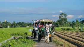 Pengembangan sawah di Papua merupakan langkah nyata Pemerintah dalam peningkatan kesejahteraan masyarakat setempat. Seluruh tahapan dilakukan dengan pendekatan yang partisipatif dengan melibatkan masyarakat adat dan memperhatikan hak ulayat yang berl
