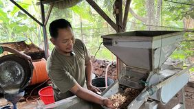 Muhammad Husni merasa bersyukur dan bangga menjadi pemasok tempe untuk dapur Makan Bergizi Gratis (MBG). Sejak mulai memasok tempe pada pertengahan Juli 2025, lelaki dengan dua anak ini menilai kehidupannya menjadi lebih baik.