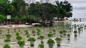 Pengadilan Kanton Zug, Swiss, menerima permohonan gugatan iklim yang diajukan empat nelayan asal Pulau Pari, Indonesia, terhadap perusahaan semen multinasional Holcim. Putusan penerimaan gugatan tersebut diumumkan pada Senin, 22 Desember 2025.
