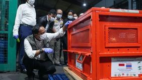 Kemenhut bersama Kedutaan Besar Republik Indonesia (KBRI) Bangkok berhasil merepatriasi empat individu orangutan yang menjadi korban perdagangan ilegal satwa liar dari Thailand ke Indonesia.