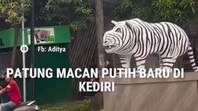 Keberadaan patung macan putih yang berdiri di Desa Balongjeruk, Kecamatan Kunjang, Kabupaten Kediri, Jawa Timur, mendadak menyedot perhatian publik. Patung yang baru dibangun tersebut ramai dibicarakan bukan karena kemegahannya, melainkan karena bent