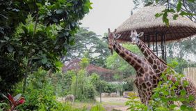 Peneliti sejarah dan penulis Yudi Hamzah menegaskan bahwa lahan Kebun Binatang Bandung atau Bandung Zoo sejak awal tidak pernah menjadi milik perorangan, melainkan berasal dari taman kota yang dibangun oleh pemerintah.