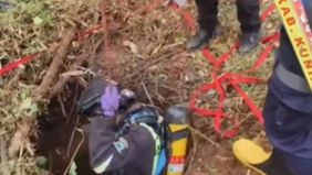 Peristiwa tersebut menghebohkan warga Desa Cigedang, Kecamatan Luragung, Kabupaten Kuningan. Korban diketahui bernama Diding Haryadi (56), warga Desa Sukamaju, Kecamatan Ciwaru. Petugas Damkar yang tiba di lokasi langsung melakukan proses evakuasi ko