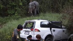 Lebih dari 100 orang dilaporkan meninggal dunia akibat kecelakaan lalu lintas di berbagai wilayah Thailand pada hari-hari awal libur Tahun Baru, menurut Pusat Komando Keselamatan Jalan Thailand, Jumat, 2 Januari 2026.