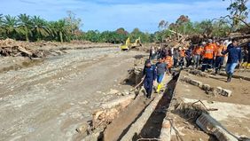 Kementerian Kehutanan (Kemenhut) menyatakan telah memanggil sejumlah pihak yang diduga berperan dalam kerusakan daerah aliran sungai (DAS) di Kabupaten Tapanuli Utara dan Tapanuli Selatan, Sumatera Utara. Dari proses tersebut, beberapa subjek hukum b