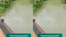 Peristiwa tersebut diduga terjadi sekitar pukul 14.00 Wita di Sungai Sena, Desa Awunio. Korban diketahui merupakan siswa Sekolah Menengah Pertama (SMP) yang saat itu mandi bersama teman-temannya sepulang sekolah.