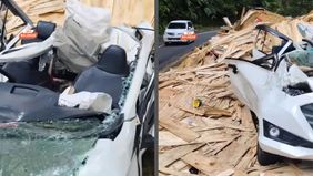 Akibat insiden tersebut, enam orang dilaporkan mengalami luka-luka dan harus mendapatkan perawatan medis. Kasat Lantas Polres Jember AKP Bernadus Bagas Simarmata menjelaskan, salah satu kendaraan yang terlibat adalah truk tronton bernopol L-8186-AG y