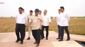 Prabowo Umumkan Indonesia Capai Swasembada Beras di Karawang