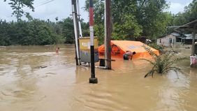 Badan Penanggulangan Bencana Daerah (BPBD) Kabupaten Aceh Timur, Provinsi Aceh, melaporkan banjir susulan kembali merendam lima kecamatan di wilayah tersebut setelah hujan turun dengan intensitas tinggi.