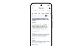 Google membatasi penggunaan fitur AI Overviews pada sejumlah kueri pencarian bertema kesehatan setelah hasil investigasi The Guardian menemukan ringkasan kecerdasan buatan tersebut berpotensi menampilkan informasi yang menyesatkan bagi pengguna.