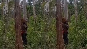 Kelompok Tentara Pembebasan Nasional Papua Barat (TPNPB), yang dikenal sebagai sayap militer Organisasi Papua Merdeka (OPM), melakukan aksi penembakan terhadap pesawat sipil milik maskapai Trigana Air yang hendak mendarat di Kabupaten Yahukimo, Rabu,