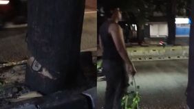 Oknum aparatur sipil negara (ASN) diduga terlibat dalam kasus penebangan pohon ilegal di Jalan Sultan Iskandar Muda, Kebayoran Lama, Jakarta Selatan.