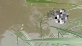 ?Jenazah ditemukan menepi di aliran kali dekat pabrik tahu-tempe Primkopti, Gang Sonton, Lenteng Agung. Hingga saat ini, identitas korban maupun kronologi kejadian belum diketahui secara pasti.