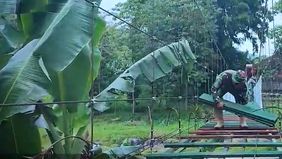 Para siswa kini tidak perlu lagi berenang untuk menyeberangi sungai saat berangkat dan pulang sekolah. Para petani pun kini dapat mengangkut hasil panen dengan lebih mudah tanpa harus menceburkan diri ke sungai. Mobilitas warga semakin lancar, bahkan