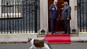 Suasana halaman 10 Downing Street, London, mendadak jadi sedikit berbeda saat Presiden Prabowo Subianto tiba untuk bertemu Perdana Menteri Inggris Keir Starmer.
