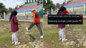 Aksi Pria Tendang Kucing hingga Mati Viral di Blora, Polisi Buru Pelaku