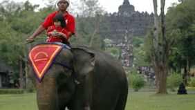 Menteri Kehutanan (Menhut) Raja Juli Antoni mengimbau masyarakat untuk aktif melaporkan jika masih menemukan atraksi gajah tunggang di lembaga konservasi di seluruh Indonesia.