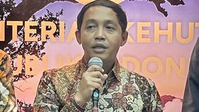 Menteri Kehutanan Raja Juli Antoni mengecam keras dugaan keterlibatan jaringan pemburu dalam kematian seekor gajah sumatera (Elephas maximus sumatranus) yang ditemukan di areal konsesi perusahaan di Provinsi Riau.
