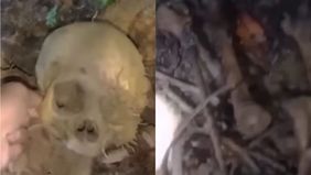 Warga Desa Amamotu, Kecamatan Samaturu, Kabupaten Kolaka, Sulawesi Tenggara (Sultra), dibuat geger oleh penemuan kerangka manusia di kawasan hutan setempat, Minggu.