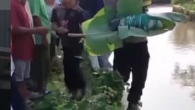 Kapolsek Pasar Kemis, AKP Humaedi membenarkan peristiwa tersebut. Ia menjelaskan, jenazah bayi yang diperkirakan berusia sekitar satu minggu itu pertama kali ditemukan warga yang sedang memancing di lokasi.