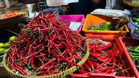 Gubernur DKI Jakarta Pramono Anung Wibowo optimistis harga cabai keriting di Ibu Kota akan kembali stabil dalam waktu dekat. Ia memperkirakan dalam satu hingga dua minggu mendatang harga komoditas tersebut bisa kembali normal.