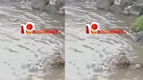 Warga dikejutkan dengan penemuan sesosok mayat di aliran Sungai Cisadane, tepatnya di sekitar Jembatan Gunung Batu, Kota Bogor, pada Selasa pagi, 24 Februari 2026.