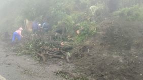 Insiden tanah longsor terjadi di ruas jalan kawasan view point Bukit Kedaluh Gunung Bromo, Pasuruan, Jawa Timur, Rabu, 25 Februari 2026, dengan perkiraan material longsoran mencapai lebar sekitar 15 x 10 meter