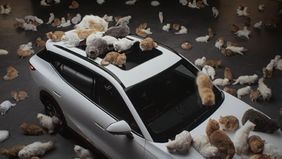 Omoda Menghadirkan Kampanye Unik, Yakni Menghadirkan Puluhan Kucing Berbulu, Ribuan Bunga, Hingga Hujan Dan Salju Buatan.
