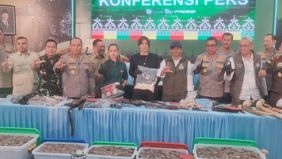 Kepolisian Daerah Riau menetapkan 15 orang sebagai tersangka dalam kasus perburuan gajah liar yang ditemukan tewas dengan kondisi kepala terpenggal di Kabupaten Pelalawan.