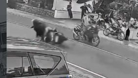 Berdasarkan rekaman CCTV di lokasi kejadian, sepeda motor tersebut terlihat melaju cukup kencang sebelum akhirnya menabrak korban hingga terpental beberapa meter.
