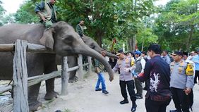 Kapolri Listyo Sigit Prabowo bersama Ketua Komisi IV DPR RI Siti Hediati Hariyadi atau Titiek Soeharto melakukan peninjauan ke kawasan konservasi gajah di Taman Nasional Tesso Nilo pada Selasa, 17 Maret 2026.