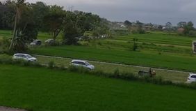 Sebuah video beredar di media sosial memperlihatkan rombongan kendaraan pemudik di Sleman tersesat hingga masuk ke area persawahan saat hendak menuju gerbang tol.