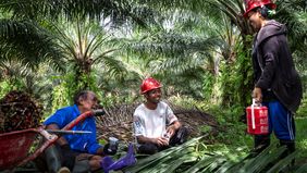 Gabungan Pengusaha Kelapa Sawit Indonesia (GAPKI) mendorong industri sawit untuk mengoptimalkan potensi sumber daya manusia (SDM), termasuk perempuan pekerja. 