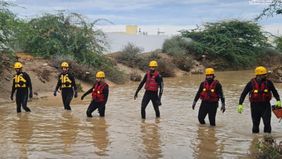 Hujan deras yang melanda Oman dalam 24 jam terakhir memicu banjir bandang mematikan. Sedikitnya lima orang dilaporkan tewas setelah kendaraan mereka terseret arus deras di sejumlah wilayah.