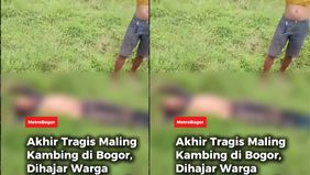 Kapolsek Parungpanjang Kompol M. Taufik menjelaskan, pelaku sempat terlibat kontak fisik dengan pemilik kambing saat dipergoki.