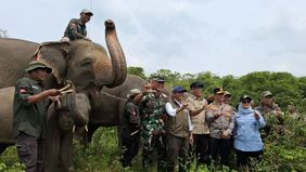 Raja Juli Antoni menegaskan bahwa Taman Nasional Way Kambas (TNWK) dijadikan proyek percontohan untuk implementasi pembiayaan iklim inovatif.