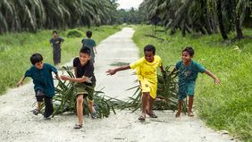 Pengembangan sumber daya manusia (SDM) menjadi faktor kunci dalam mewujudkan keberlanjutan industri kelapa sawit nasional.
