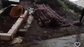 Peristiwa ini viral di media sosial dan korban sempat dilarikan ke rumah sakit.