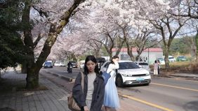 Pemerintah Korea Selatan akan memberlakukan pembatasan penggunaan kendaraan dinas dengan sistem ganjil-genap sebagai respons terhadap krisis bahan bakar yang dipicu konflik di kawasan Timur Tengah.