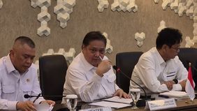 Menteri Koordinator Bidang Perekonomian Airlangga Hartarto menyampaikan harga tiket pesawat domestik akan naik 9-13 persen. 
