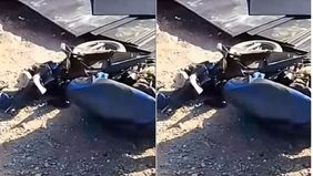 Akibat kejadian tersebut, satu orang pemotor dilaporkan tewas di lokasi setelah tertimpa badan truk. Korban diketahui bernama Sri Hartini, pengendara sepeda motor Honda Beat.