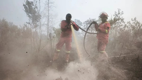 Badan Nasional Penanggulangan Bencana (BNPB) melaporkan bahwa kebakaran hutan dan lahan (karhutla) di Riau telah meluas hingga mencapai 3.456,23 hektare dalam kurun waktu hampir empat bulan terakhir.