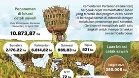 Pemerintah melalui Kementerian Pertanian (Kementan) terus mengakselerasi upaya swasembada pangan dengan mengoptimalkan program cetak sawah di berbagai daerah.