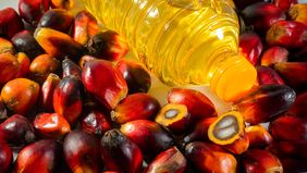 Direktur Eksekutif Palm Oil Agribusiness Strategic Policy Institute (PASPI) Tungkot Sipayung menjelaskan kenaikan harga minyak goreng domestik bermula dari konflik di Timur Tengah antara Amerika Serikat (AS) dan Israel dengan Iran.