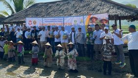 Dukungan dari Jupnas Gizi dalam upaya memperkuat ketahanan pangan nasional, dengan penanaman bibit padi unggul varietas PS 08 di lahan seluas 1.500 hektare.