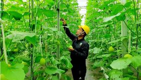 Bukan itu saja, pengembangan panas bumi terbukti turut mendorong perekonomian masyarakat melalui pemanfaatan secara langsung (direct use) maupun tidak langsung (indirect use). 