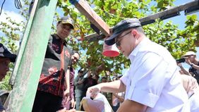 Badan Riset dan Inovasi Nasional (BRIN) memperkenalkan inovasi bahan bakar alternatif bernama Petasol, yakni bahan bakar hasil pengolahan limbah plastik menggunakan teknologi pirolisis melalui mesin Pieolisis Fastpol Gen 5.