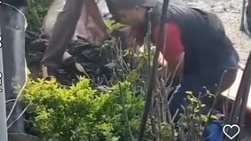 Truk tersebut selanjutnya mengalami rem blong